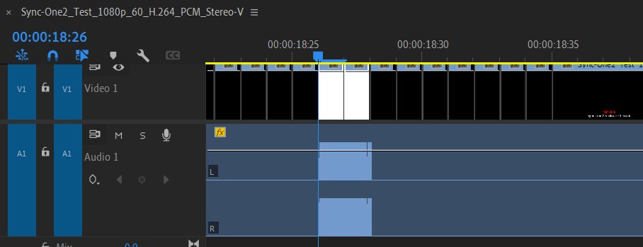 Screenshot of the video and audio frames of the test video file.